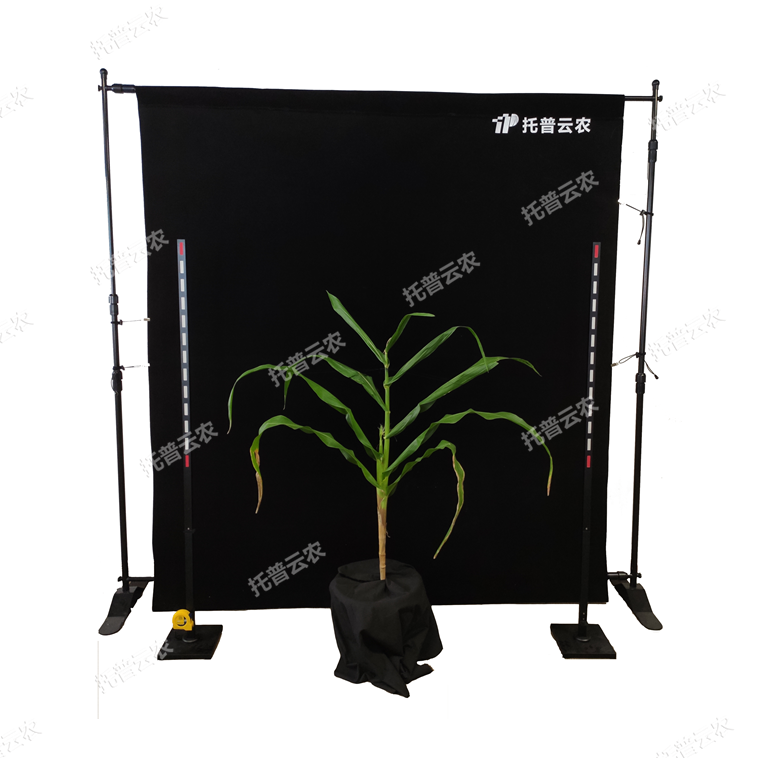 玉米株型分析系統