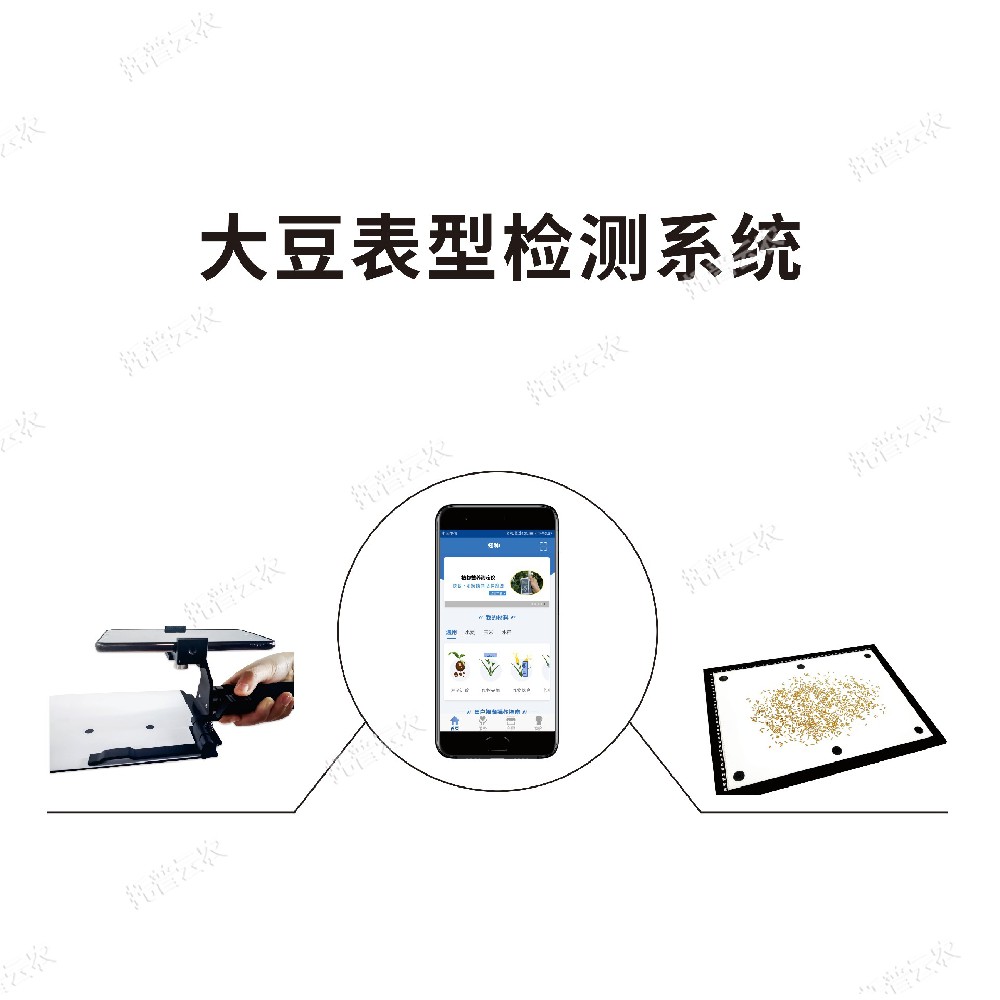 大豆表型檢測系統(tǒng)